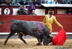 F. ROBLEÑO DESTACA CON UN BUEN TORO DE A. MARTIN EN MADRID