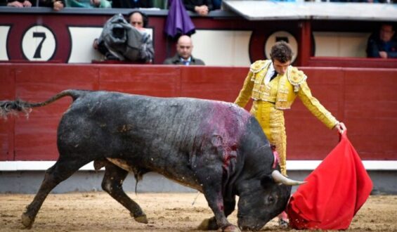 F. ROBLEÑO DESTACA CON UN BUEN TORO DE A. MARTIN EN MADRID