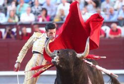 TOREROS SIN OPCIONES…TOROS BAJO EL AGUA