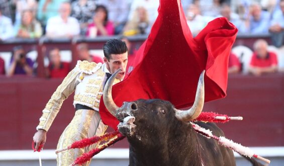 TOREROS SIN OPCIONES…TOROS BAJO EL AGUA