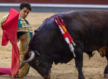 LEO VALADEZ… OREJA