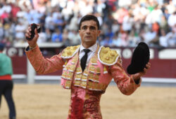 TOROS TOROS … para  …HOMBRES HOMBRES