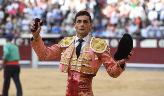 TOROS TOROS … para  …HOMBRES HOMBRES