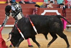 NOTABLE TRIUNFO DE ARTURO CARTAGENA EN PLAZA ESPAÑOLA