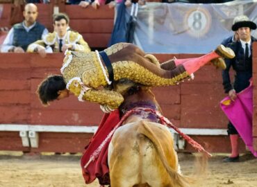 ROCA REY… TRIUNFADOR EN TOLEDO