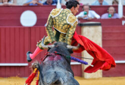 RACHA DE TOREROS HERIDOS EN ESPAÑA