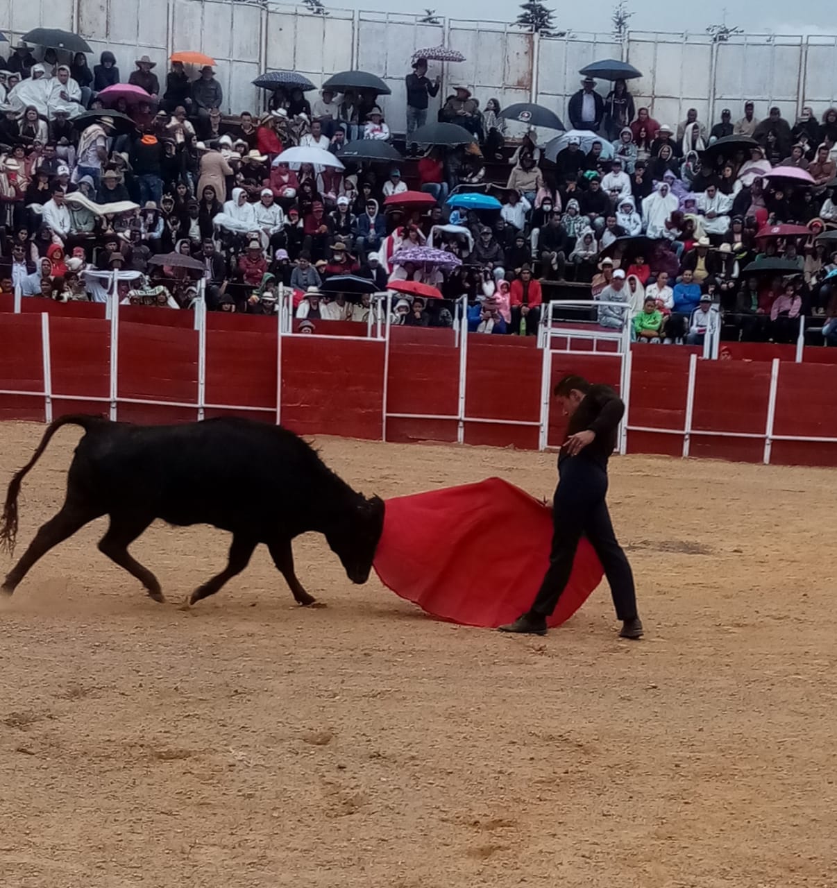 UBATÉ… AFOROS COMPLETOS