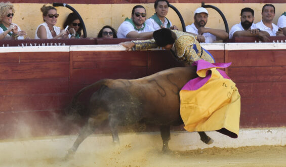 “EL CORDOBES” GRAVE COGIDA