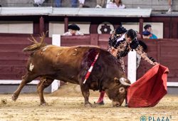 “GOMEZ DEL PILAR” y PEDRAZA de YELTES… Ganadores