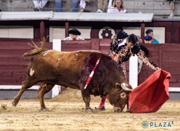 “GOMEZ DEL PILAR” y PEDRAZA de YELTES… Ganadores