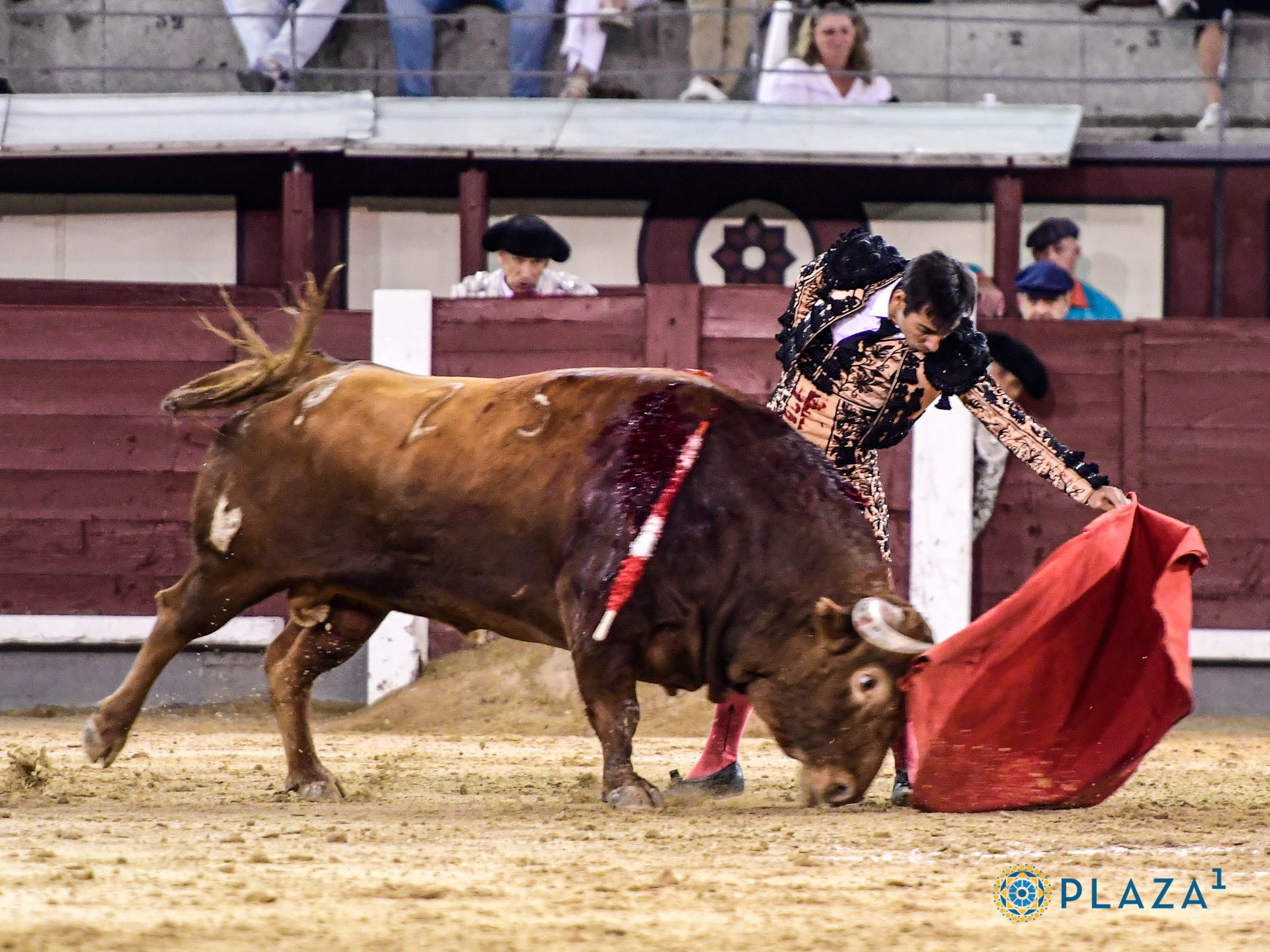 “GOMEZ DEL PILAR” y PEDRAZA de YELTES… Ganadores