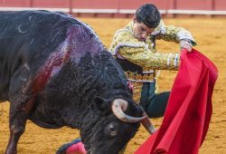 “PABLO AGUADO” OREJA  EN LA 1ª de SAN MIGUEL