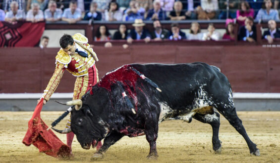 CASTELLA Y UREÑA… DESTACADOS EN LA 4ª de OTOÑO