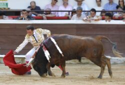 FINALIZÓ SIN OREJAS LA FERIA DE CALI