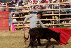 LA SAGRADA CONCEPCION INICIA CLASES