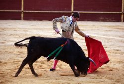 LA FIESTA EN LA PUEBLA DEL RIO