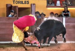 HERIDO DE GRAVEDAD ALBERTO ORTEGA