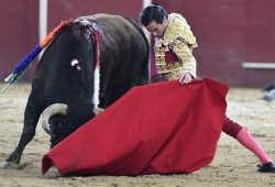 JUAN ORTEGA… CUMBRE EN LA 2ª DE “SAN BLAS”