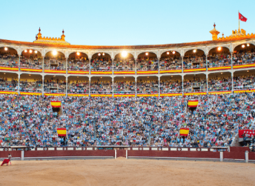 CARTELES OFICIALES DE SAN ISIDRO