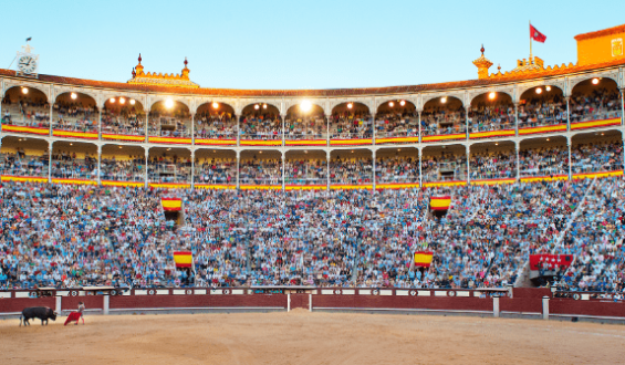 CARTELES OFICIALES DE SAN ISIDRO