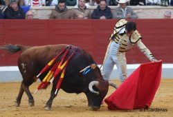 DE ARANDA y DEL PILAR de a oreja