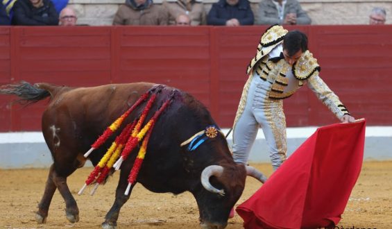 DE ARANDA y DEL PILAR de a oreja