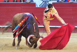 “El FANDI” a Hombros “UREÑA” Sentimiento Puro