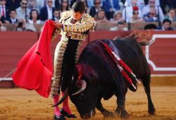 OCTAVA CORRIDA EN SEVILLA  TRIUNFADOR EMILIO DE JUSTO QUE CORTA LA ÚNICA OREJA DE LA TARDE.