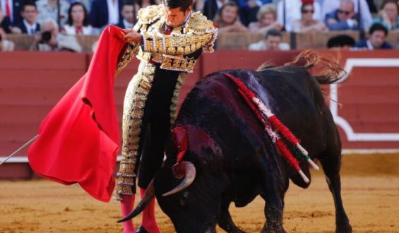 OCTAVA CORRIDA EN SEVILLA  TRIUNFADOR EMILIO DE JUSTO QUE CORTA LA ÚNICA OREJA DE LA TARDE.