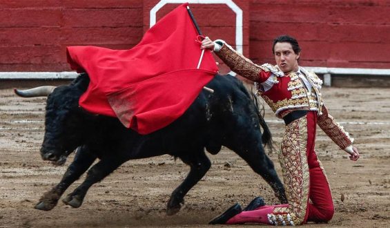 SEVILLA  FRENETICA SE LE ENTREGA A ROCA REY QUE ABRE LA PUERTA DEL PRINCIPE