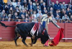 OREJAS PARA CASTELLA Y ROCA REY EN EL INICIO DE LA FERIA DE SEVILLA