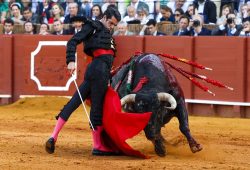 TRIUNFO LEGÍTIMO DE  E. DE JUSTO CON DOS OREJAS. UNA CORTÓ EL CID, LUQUE OVACIONADO