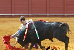 DECEPCIONANTE CORRIDA EN LA MAESTRANZA. OREJA PARA TOMAS RUFO.