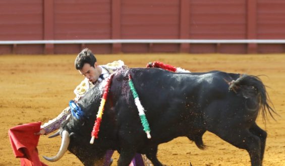 DECEPCIONANTE CORRIDA EN LA MAESTRANZA. OREJA PARA TOMAS RUFO.