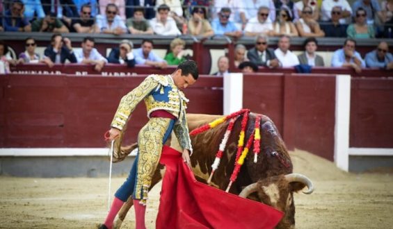 DETALLES Y PELLIZCOS DE LOS TOREROS CON UN MANSO ENCIERRO DE “ALCURRUCEN”