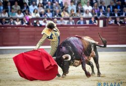 FAENA DE ROCA REY FRUSTRADA POR LA DUREZA DEL TORO.