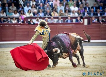 FAENA DE ROCA REY FRUSTRADA POR LA DUREZA DEL TORO.