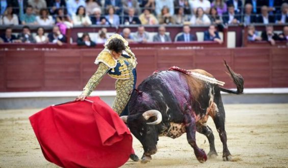 FAENA DE ROCA REY FRUSTRADA POR LA DUREZA DEL TORO.