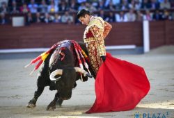 TALAVANTE CON LA ÚNICA OREJA DE LA TARDE EN MADRID