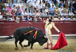 OREJA A TALAVANTE EN FAENA DE ORTODOXIA