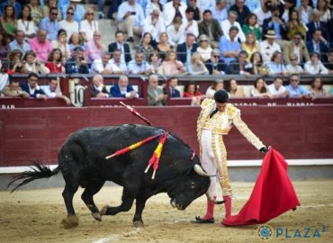 OREJA A TALAVANTE EN FAENA DE ORTODOXIA