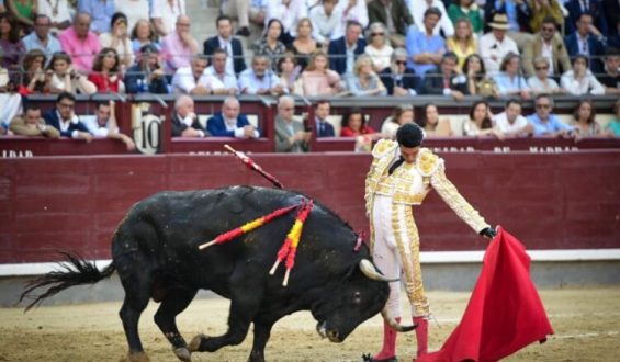 OREJA A TALAVANTE EN FAENA DE ORTODOXIA