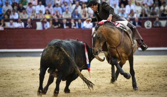 TERCERA TARDE CONSECUTIVA SIN OREJAS EN SAN ISIDRO