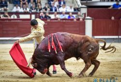 UN “BASTONITO” SALVÓ UNA TARDE SIN OREJAS