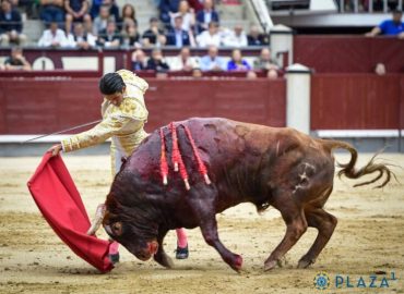 UN “BASTONITO” SALVÓ UNA TARDE SIN OREJAS