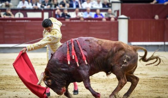 UN “BASTONITO” SALVÓ UNA TARDE SIN OREJAS