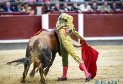 OVACIONADO EN SU LOTE JUAN DE CASTILLA QUE MERECE VOLVER A MADRID