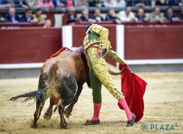 OVACIONADO EN SU LOTE JUAN DE CASTILLA QUE MERECE VOLVER A MADRID