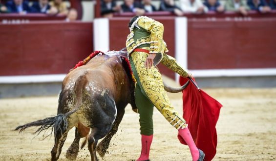 OVACIONADO EN SU LOTE JUAN DE CASTILLA QUE MERECE VOLVER A MADRID