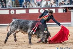 NOVILLADA EN LAS VENTAS